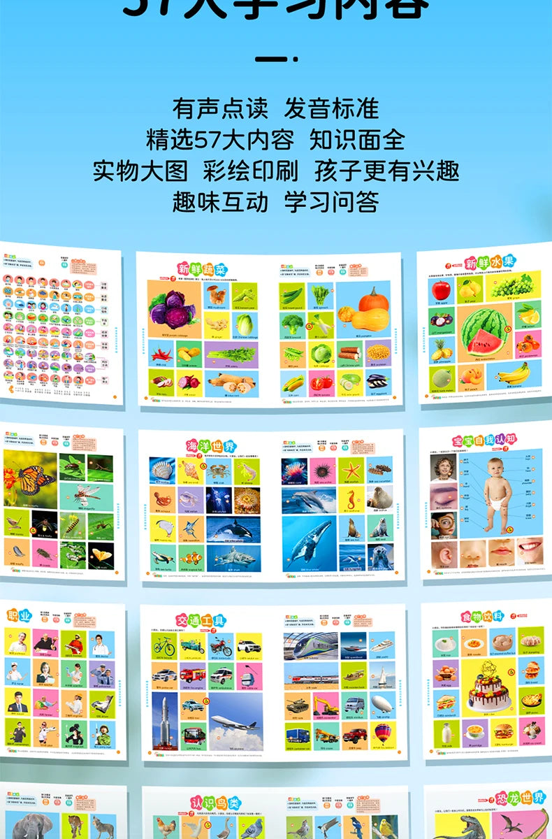Children's Early Education Audio Book, Infant Enlightenment Cognition, Bilingual in Chinese and English Children's Pinyin