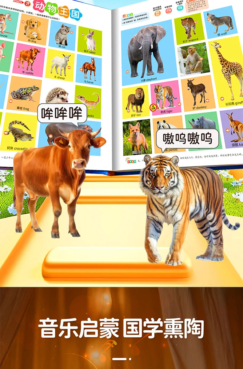 Children's Early Education Audio Book, Infant Enlightenment Cognition, Bilingual in Chinese and English Children's Pinyin