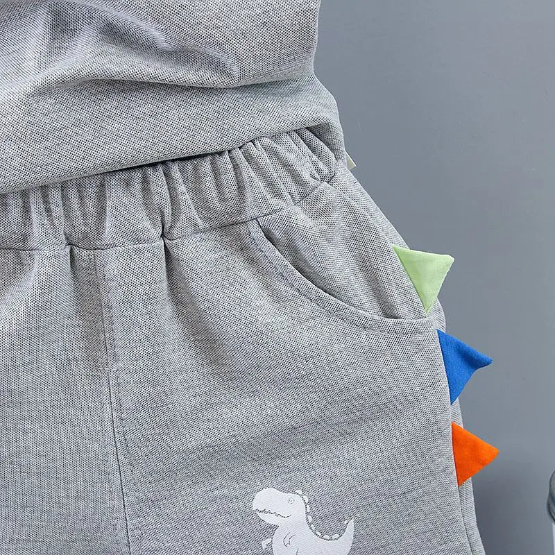 New Summer Outfits Baby Boys 9 To 12 Months Dinosaur Printed Turn-down Collar T-shirts Tops and Shorts 2PCS Infant Clothing Sets