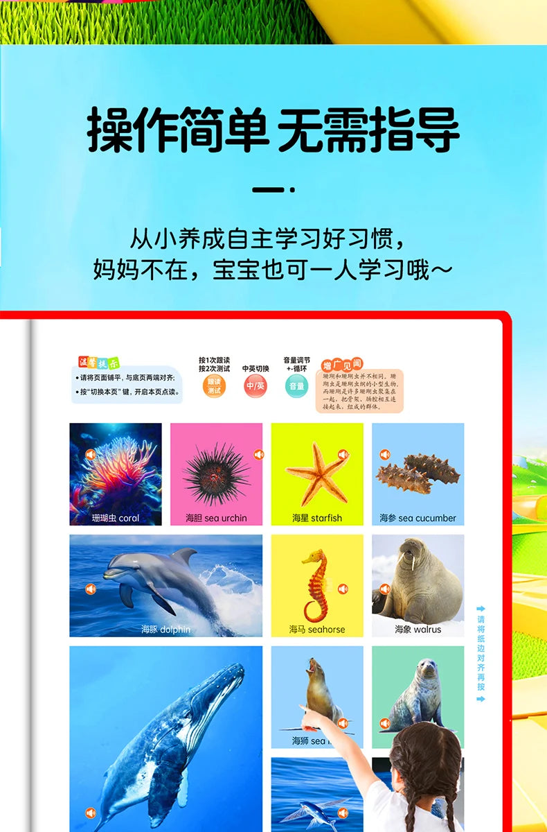 Children's Early Education Audio Book, Infant Enlightenment Cognition, Bilingual in Chinese and English Children's Pinyin