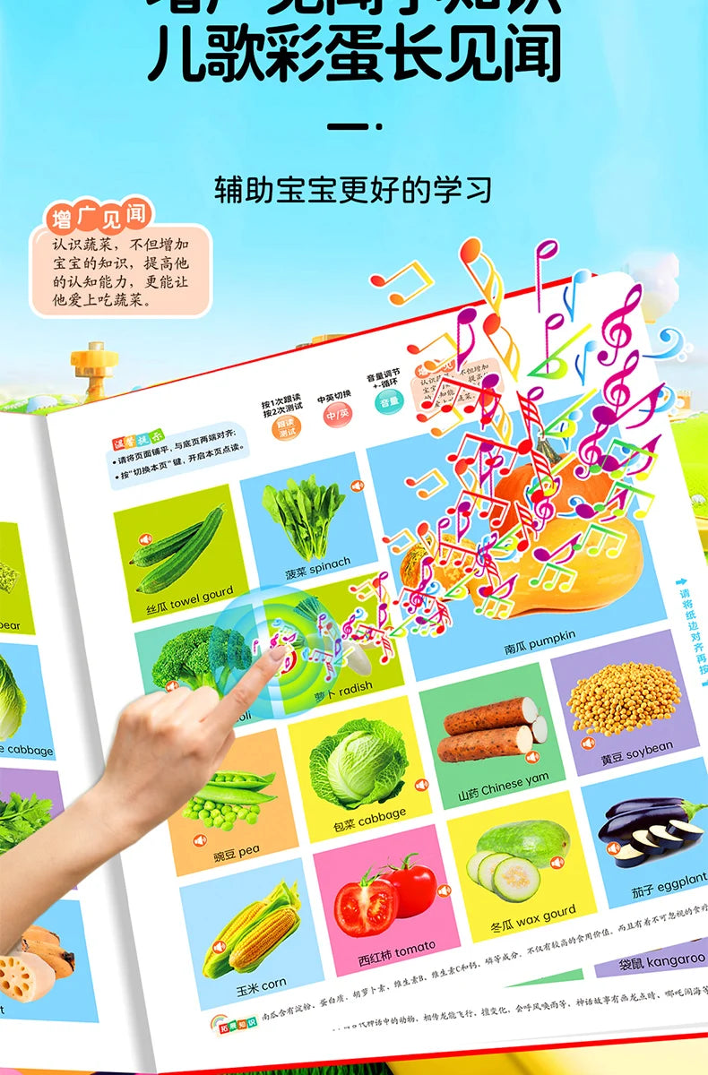 Children's Early Education Audio Book, Infant Enlightenment Cognition, Bilingual in Chinese and English Children's Pinyin