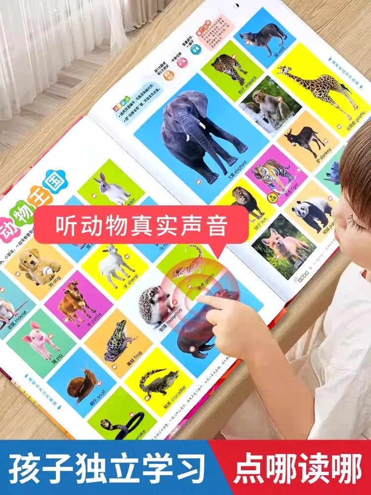 Children's Early Education Audio Book, Infant Enlightenment Cognition, Bilingual in Chinese and English Children's Pinyin